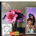 ◆【PC】【欧美SLG/奇幻汉化】Picture Perfect-完美照片 V1.1 PC+安卓汉化版【全CG/3.5G】【更新】★