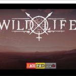 【更新】【3D大作/虚幻4/更新】Wild Life-野性生活 2021.10.26 官方中文版【动态/23G】【新作】