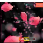 【合集】【欧美SLG/汉化/动态】承诺 Promises V0.13f 精翻汉化版【PC+安卓/新作/2G】【百度盘】★【推荐】
