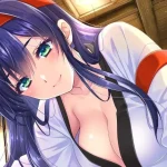 镜界上的碎片 ～天照篇～ /RPG [683m] (pc) [百度云/FM]